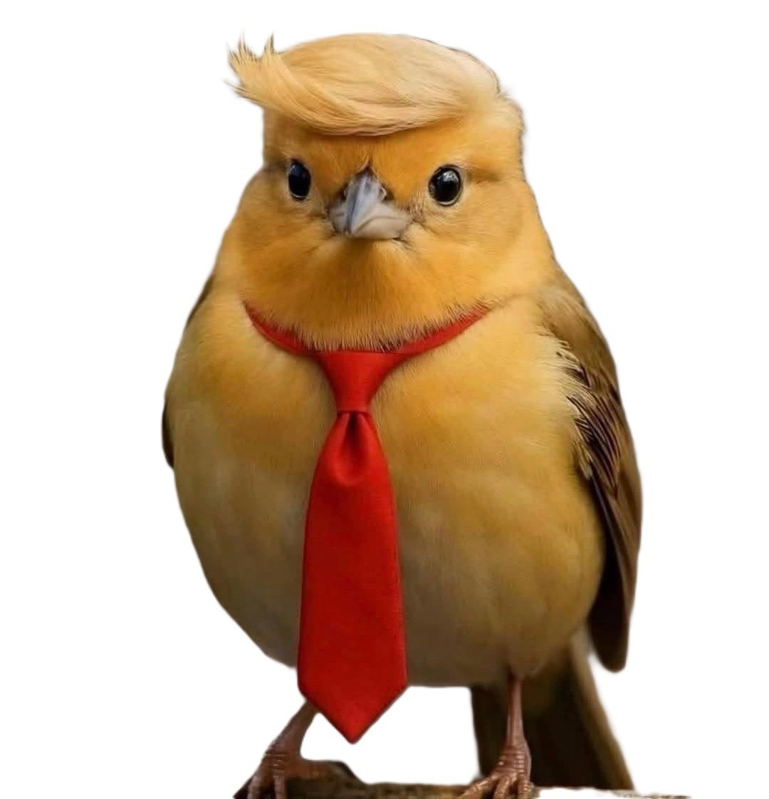 Il ne vous rappelle pas qq-un ?